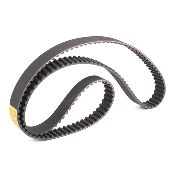 RIDEX Timing belt kit with water pump 3096W0016 buy online