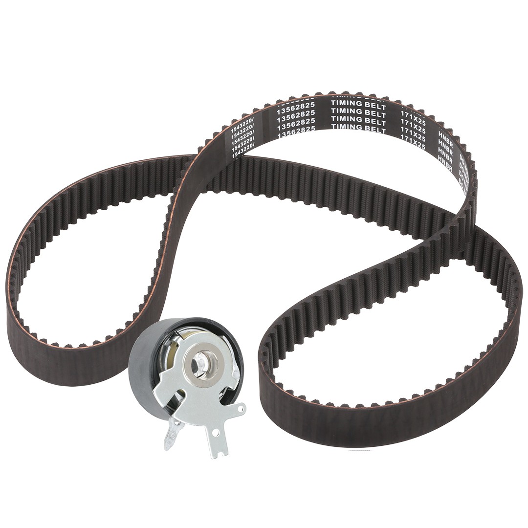 RIDEX 307T0067 Timing belt kit CHRYSLER GRAND VOYAGER 2007 price