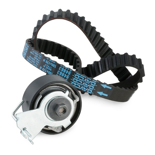 RIDEX 307T0144 Cambelt kit