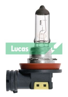 Fog lamp bulb LUCAS Version: Single Box Standard H8 12V 35W PGJY19-1, PGJ19-1, Halogen - LLB708