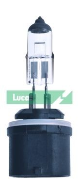 LUCAS 12V, 27W Bulb, fog light LLB880 buy