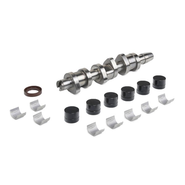 Borsehung B18665 Camshaft Kit without valves