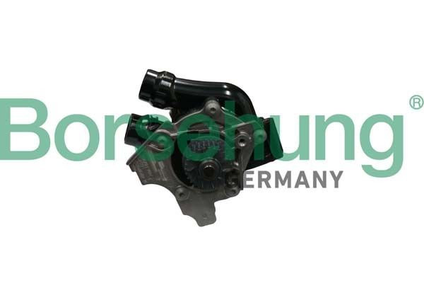 Original B18736 Borsehung Water pump experience and price