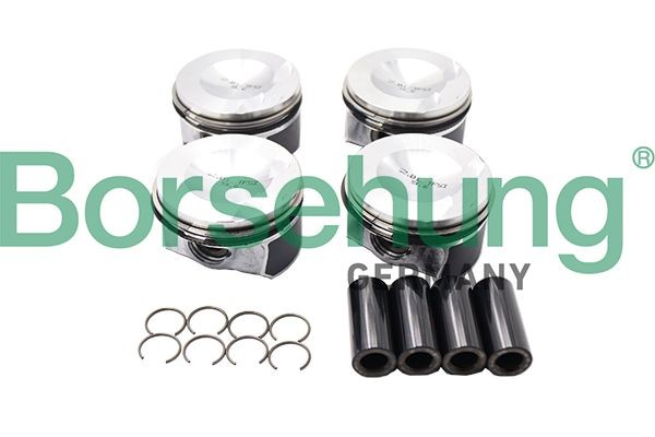 Borsehung Piston ring set Passat B7 Box Body / Estate (365) new B18741