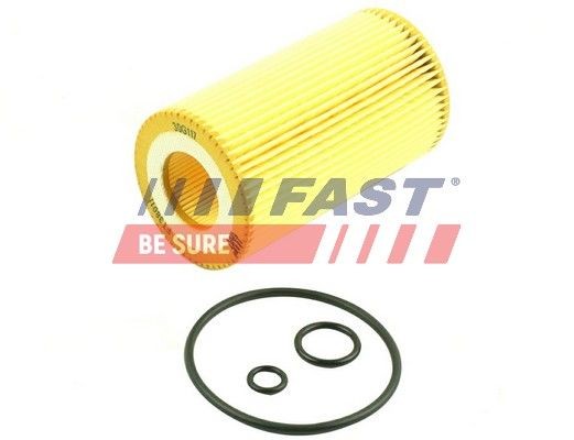 FAST FT38011 Oil filters MERCEDES-BENZ Sprinter 4-T Van (W904) 413 CDI 2.2 129 hp Diesel 2006 price