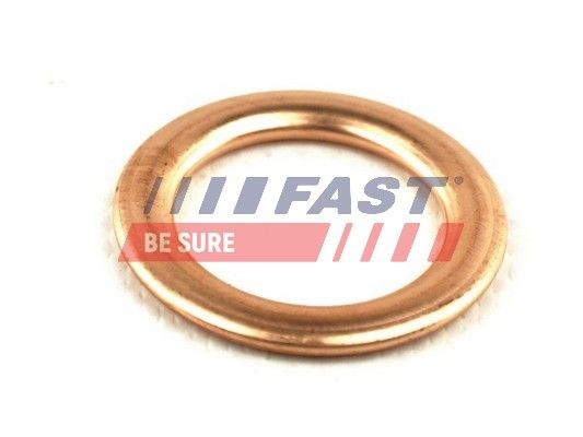 FAST FT94721 Seal, oil filler cap