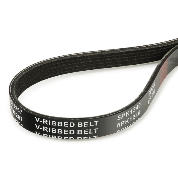 RIDEX 305P0227 Aux belt 1240mm, 5
