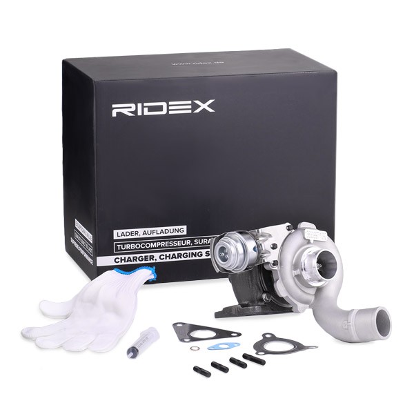 RIDEX 2234C0023 Turbocharger 8200256077