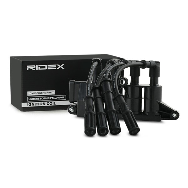 RIDEX | Zündspule 689C0290