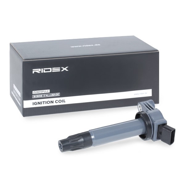 RIDEX Coil packs 689C0303