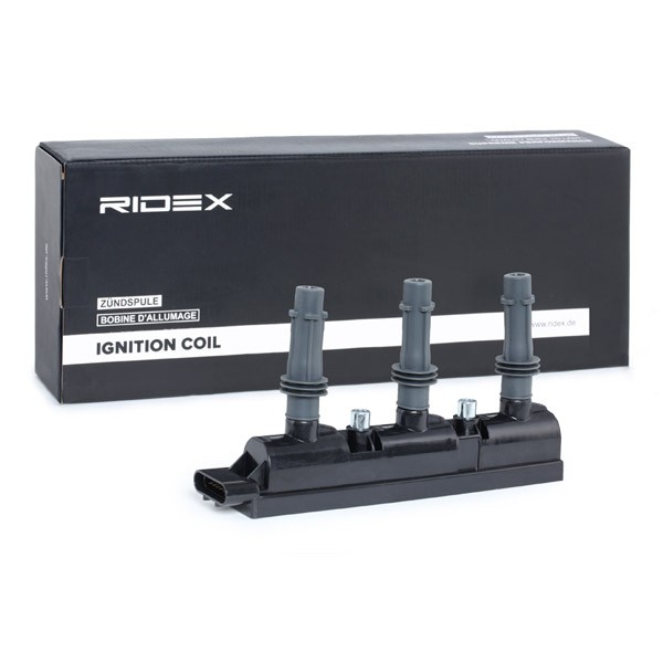 RIDEX Coil packs 689C0304
