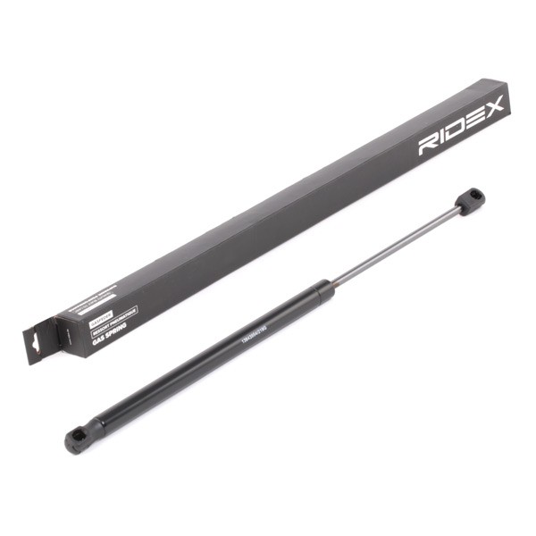 Great value for money - RIDEX Tailgate strut 219G0768