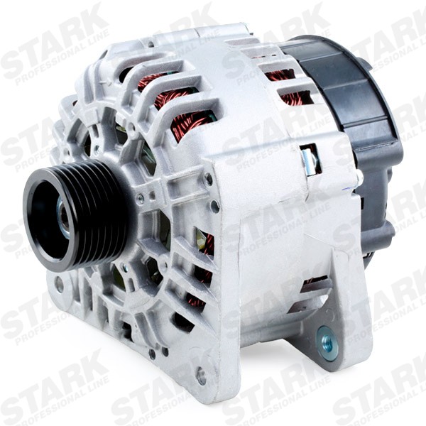 SKGN0320259 Generator STARK SKGN-0320259 review and test