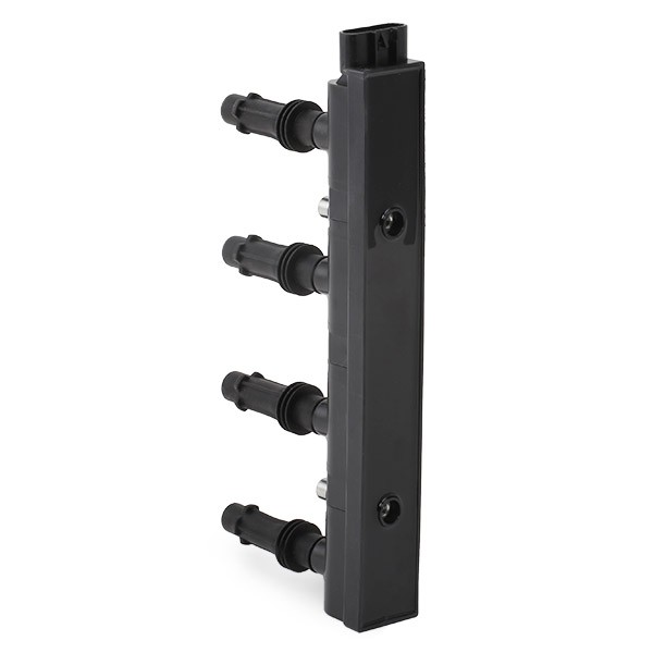 OEM-quality BERU ZSE185 Ignition coil pack