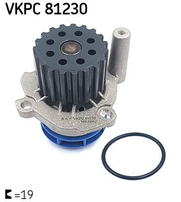 VKPC81230 Water pumps VKPC 81230 SKF Number of Teeth: 19, with gaskets/seals, Plastic, for toothed belt drive