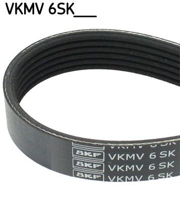 SKF 831mm, 6 Number of ribs: 6, Length: 831mm Alternator belt VKMV 6SK831 buy