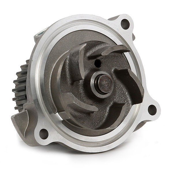 SKF VKPC81612 Water pump Number of Teeth: 29, with gaskets/seals, Cast Iron, for timing belt drive