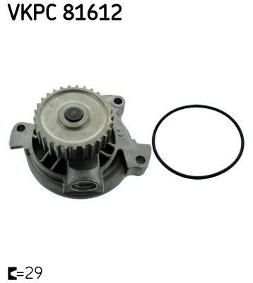 VKPC81612 Water pumps VKPC 81612 SKF Number of Teeth: 29, with gaskets/seals, Cast Iron, for timing belt drive
