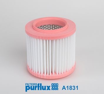 PURFLUX 155mm, 86mm, 152mm, Filter Insert Length: 152mm, Width: 86mm, Height: 155mm Engine air filter A1831 buy