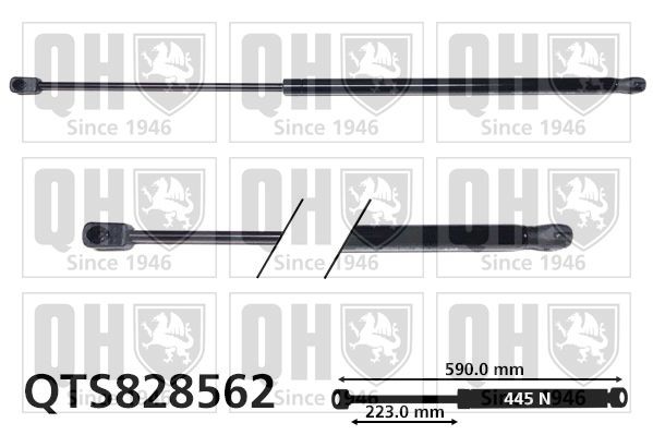 Opel INSIGNIA Tailgate strut QUINTON HAZELL QTS828562 cheap