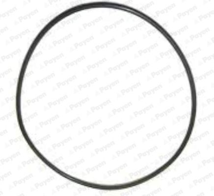 PAYEN O-Ring, cylinder sleeve LA5256 buy