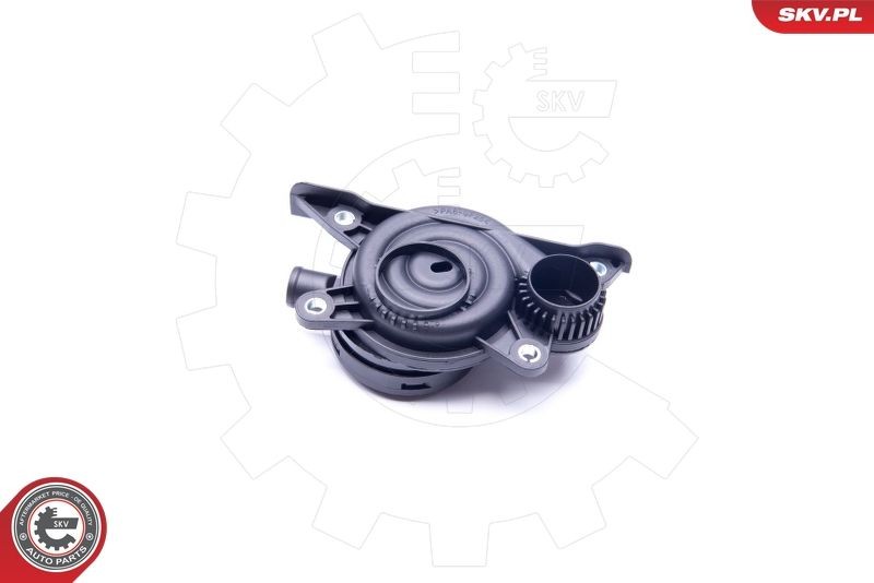 ESEN SKV 31SKV060 Crankcase ventilation valve Mercedes Vito Mixto W639 111 CDI 109 hp Diesel 2013 price