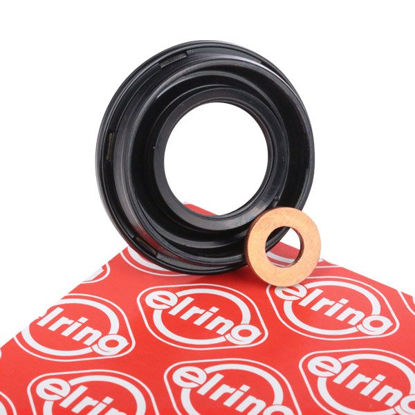 Fiat Ducato 250 Minibus O-rings parts - Seal Kit, injector nozzle ELRING 875.760