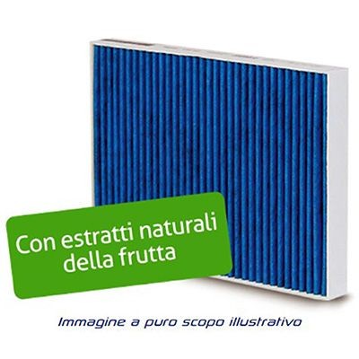 SIDAT Activated Carbon Filter, Particulate filter (PM 2.5), with fungicidal effect, with anti-allergic effect, with antibacterial action, 261 mm x 183 mm x 30 mm Width: 183mm, Height: 30mm, Length: 261mm Cabin filter BL739-2 buy
