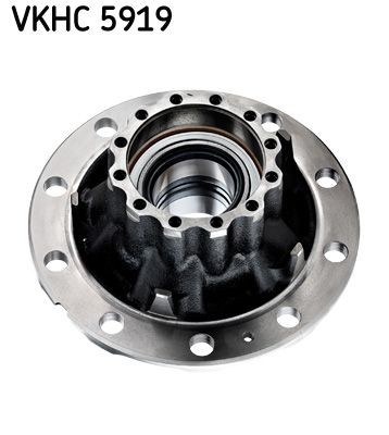 VKBA 5423 SKF VKHC5919 Wheel bearing kit 2096 7828