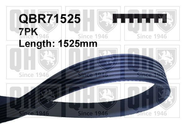 7PK1522 QUINTON HAZELL 1525mm, 7 Number of ribs: 7, Length: 1525mm Alternator belt QBR71525 buy
