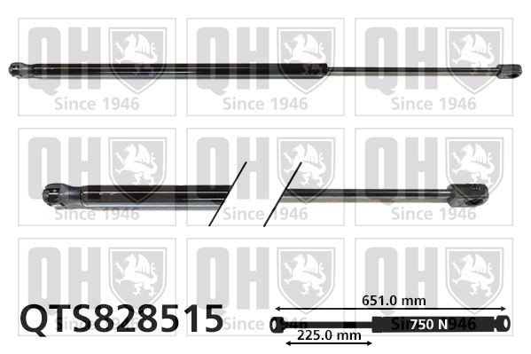 QUINTON HAZELL 750N, 651 mm Stroke: 225mm Gas spring, boot- / cargo area QTS828515 buy