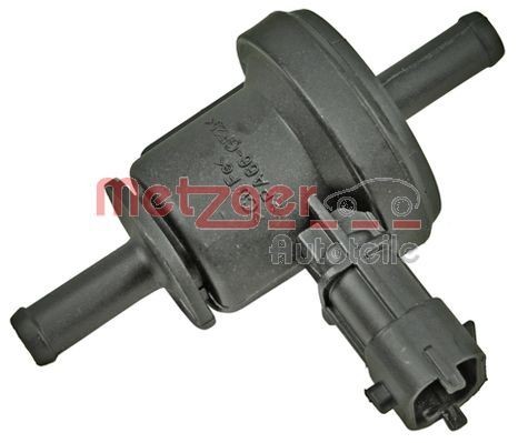 Kia Valve, activated carbon filter METZGER 2250298 at a good price