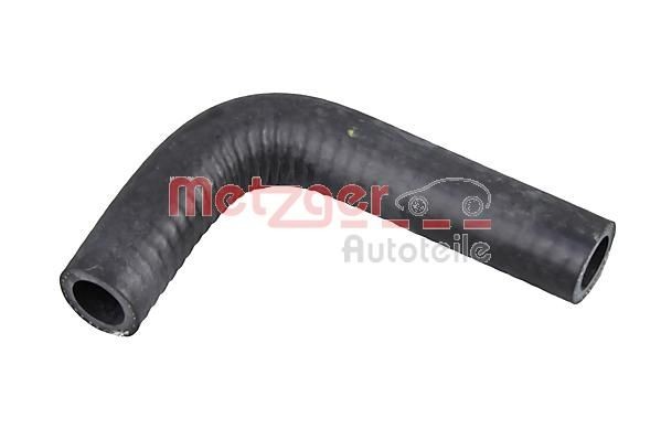 Fiat Ducato 244 Platform Pipes and hoses parts - Radiator Hose METZGER 2420229