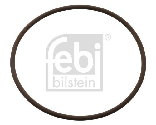 FEBI BILSTEIN 104848 Dichtring, Kühlmittelrohrleitung für DAF 95 LKW in Original Qualität