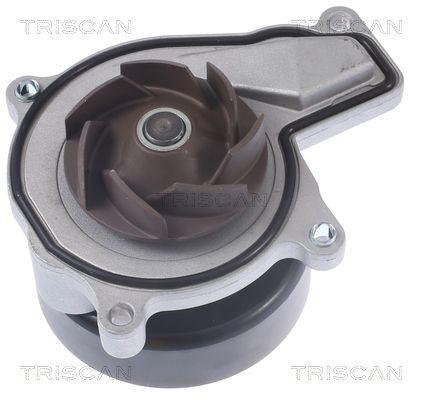 TRISCAN Water pump for engine 8600 11049