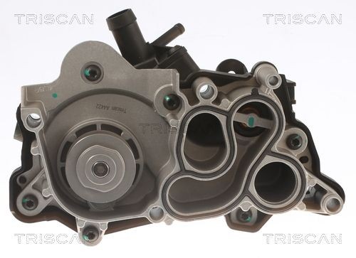 860029087 Coolant pump TRISCAN 8600 29087 review and test