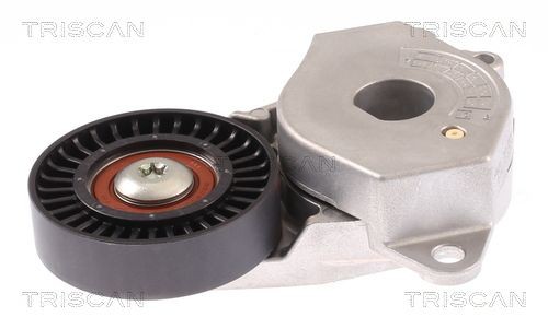 TRISCAN 8641133014 Tensioner pulley 1662047030