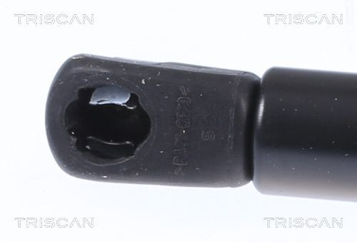 TRISCAN Gas struts 8710 14259 for NISSAN Leaf I (ZE0)