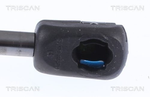 871014259 Boot gas struts TRISCAN 8710 14259 review and test