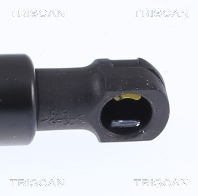 871014261 Boot gas struts TRISCAN 8710 14261 review and test