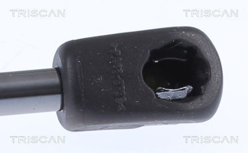 871018244 Boot gas struts TRISCAN 8710 18244 review and test