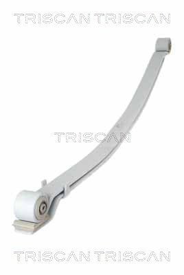 TRISCAN Rear Axle Spring Pack 8765 23028 buy