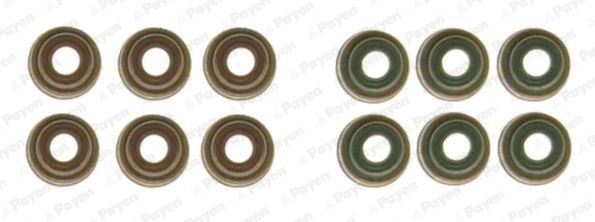 PAYEN FPM (fluoride rubber) Seal Set, valve stem HR5131 buy