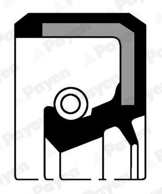 PAYEN NA5484 Crankshaft seal FPM (fluoride rubber)