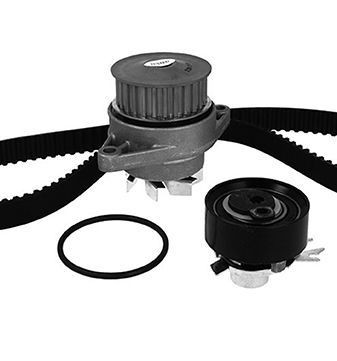 24-0603 METELLI 3006033 Cambelt and water pump VW Polo 9A4 1.6 101 hp Petrol 2016 price
