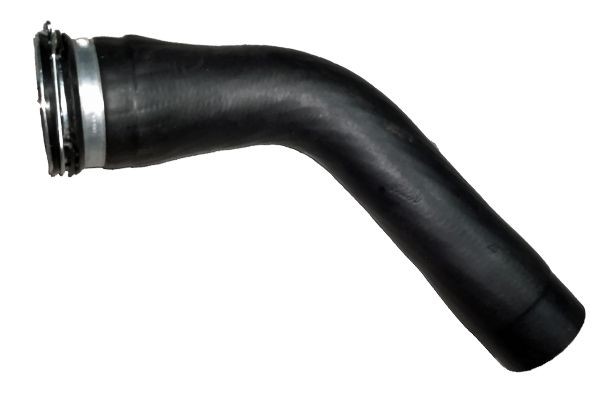 Charger Intake Hose BUGIAD 81718 - Alfa Romeo GIULIETTA Pipes and hoses spare parts order