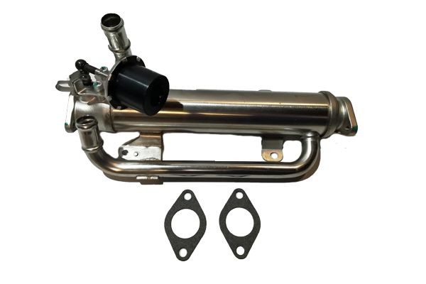 BUGIAD Exhaust gas recirculation valve BSP25206 buy