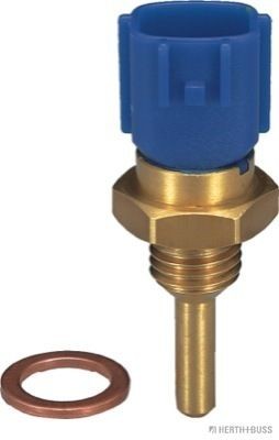 HERTH+BUSS JAKOPARTS blue Spanner Size: 19, Number of connectors: 2 Coolant Sensor J5621011 buy