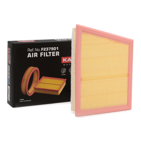 Great value for money - KAMOKA Air filter F237901