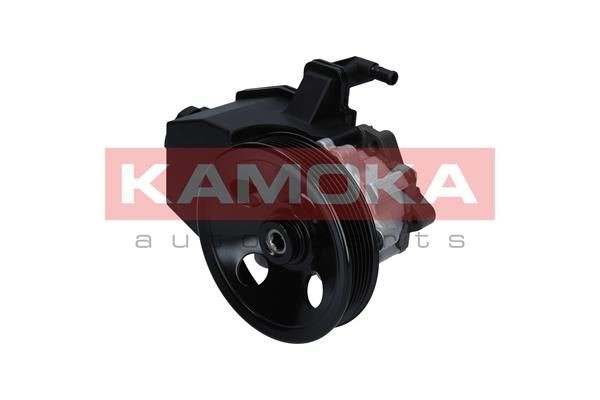 KAMOKA PP127 Power steering pump 002 466 4201